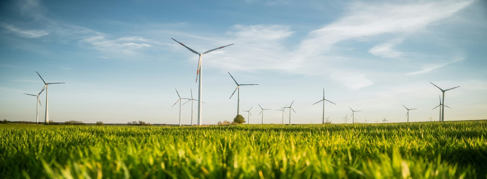 Wind turbines in a field of grass